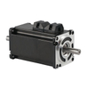 Low voltage dual output shaft servo motor