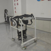Lower Limb Exoskeleton Robot