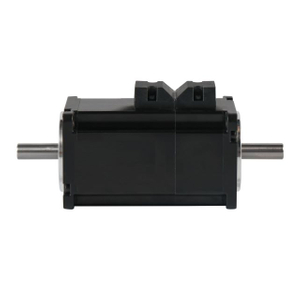 Low voltage dual output shaft servo motor